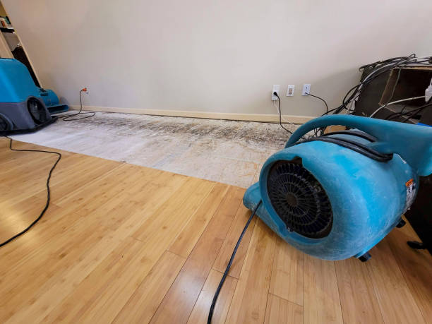 Professional Basement Flood Cleanup technician working in Cecil, PA